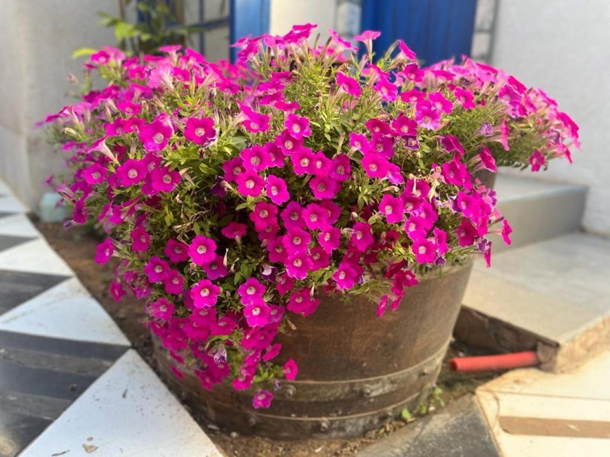 Ahuzat Shaul Seaside Bed and Breakfast Hadera Exteriör bild